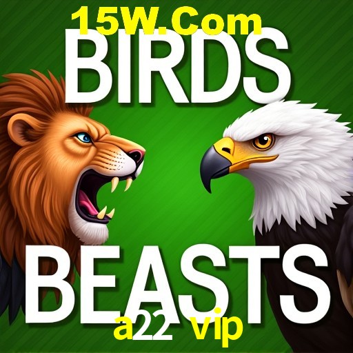 a22 vip Salvador - Studio Tour